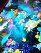 Diduga Gelper di Mitra Mall Batu Aji Sengaja Dibiarkan