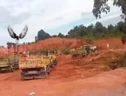 Tidak Jauh dari Mabes Polda Kepri, Cut and Fill Terus Beroperasi