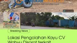 Usaha Primer Hasil Hutan CV Wahyu di Sungai Langkai Sagulung Disorot, Perizinan dan Standar K3 Dipertanyakan