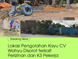 Usaha Primer Hasil Hutan CV Wahyu di Sungai Langkai Sagulung Disorot, Perizinan dan Standar K3 Dipertanyakan