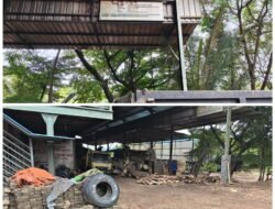 Pengolahan Kayu CV Wahyu di Sagulung Disorot: Legalitas Usaha, Asal Kayu hingga K3 Diminta Dibuka